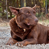 Profile Picture of bomber 55 (@bomber 55) on Flickr