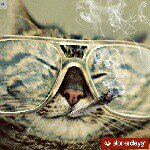 Profile Picture of John Markham (@jmarkham420) on Instagram