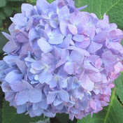 Profile Picture of Lisa Walling (@lisawalling3118) on Youtube