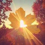 Profile Picture of Karen Van Hulle (@vanhullekaren) on Instagram