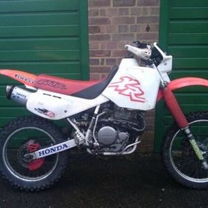 Profile Picture of Randy Levi (@belikerandy) on Twitter