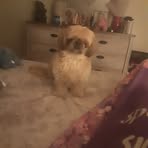 Profile Picture of Clarence Albert (@clarence.albert.94) on Facebook