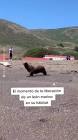Profile Picture of   Un gato roba leche a un... (@actualidadrt) on Tiktok