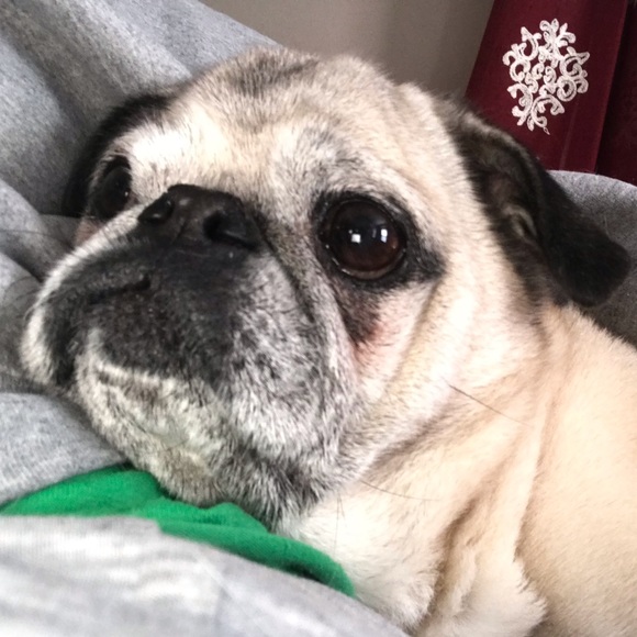 Profile Picture of Jackie Fencer (@jdevoe01) on Poshmark