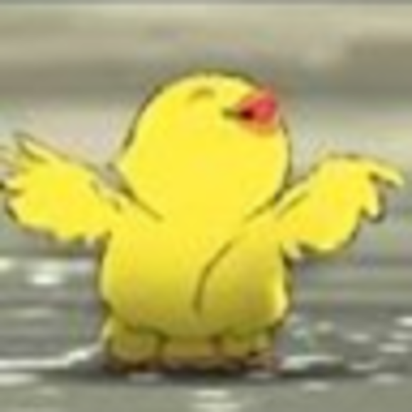 Profile Picture of Bird L (@jjaneli7747) on Poshmark