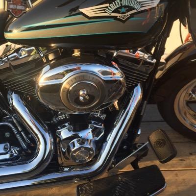 Profile Picture of Justin Hauser (@doogie199396) on Twitter