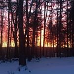 Profile Picture of Ramona Sterczala (@ramonasterczala) on Instagram