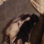 Profile Picture of Loretta Lynn Burnett (@lorettalynnburnett) on Instagram