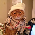 Profile Picture of Molly Oscarlece (@youwishyouwerelarry) on Instagram