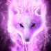 Profile Picture of Robin Abrahams (@robin.abrahams.1253) on Facebook