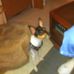 Profile Picture of Wayne Ricks (@wayne.ricks.986) on Facebook