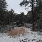 Profile Picture of Dan Orr (@Dan-Orr) on Facebook