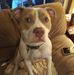 Profile Picture of Tammy Grant (@tammy.grant.9809) on Facebook