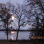 Profile Picture of Mary Gallagher Wade (@marygallagherwade) on Instagram