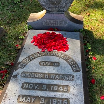 Profile Picture of Gregory Pandolfo (@Pando23Pando) on Twitter