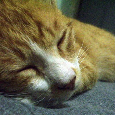 Profile Picture of Hyejung Park (@nicknamemohage) on Twitter