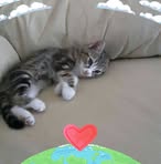 Profile Picture of Jack Micheletti (@jack.micheletti.5) on Facebook