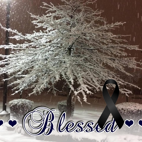 Delacruz Araceli - Poshmark Profile Picture of Delacruz Araceli (@ara_lady3) on Poshmark