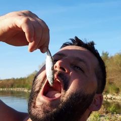 Profile Picture of raduandreidavid (@raduandreidavid) on Tiktok