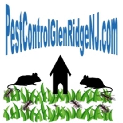 Profile Picture of Joshua Nowlan (@PestGlenRidgeNJ) on Twitter