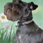 Profile Picture of Joyce Schaefer (@joyce.braner) on Instagram