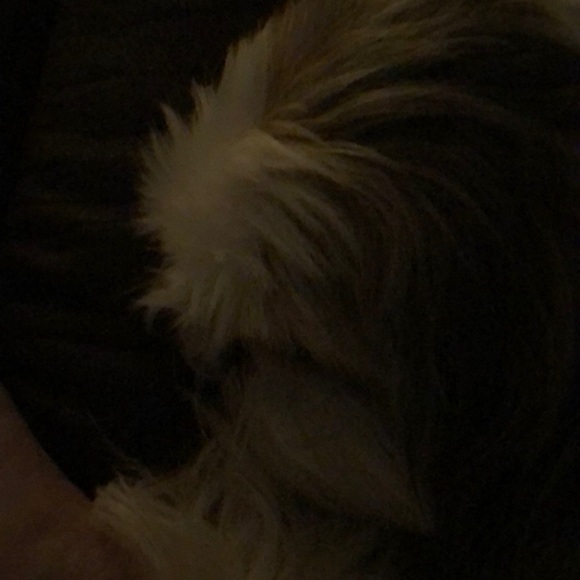 Profile Picture of Cris Buddenhagen (@redbudd) on Poshmark