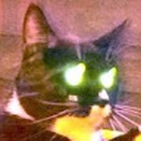 Profile Picture of Scott Bergen (@scott-bergen-6) on Quora