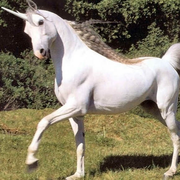 Profile Picture of Norrelle Frye (@norrelle1) on Poshmark