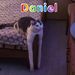 Profile Picture of Danielle Hoekstra (@dhoekstra048) on Pinterest