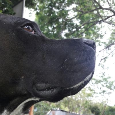 Profile Picture of Randy Downing (@RandyDowning147) on Twitter
