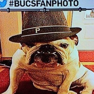 Profile Picture of Jim Mock (@Odethebulldog) on Twitter