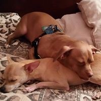 Profile Picture of Crystal Knapp (@crystal-knapp-4) on Quora