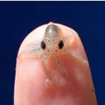 Profile Picture of Nick Blanton (@nickblanton92103) on Instagram