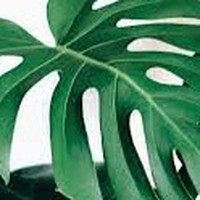 Profile Picture of Maria Peral (@maria-peral-1) on Quora