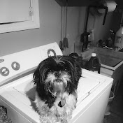 Profile Picture of Alex Dawson (@AlexDawson2020AD) on Youtube