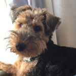 Tedrowland - Instagram Profile Picture of Tedrowland (@tedrowland16) on Instagram