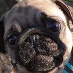 Profile Picture of Minetree (@minetre3) on Instagram