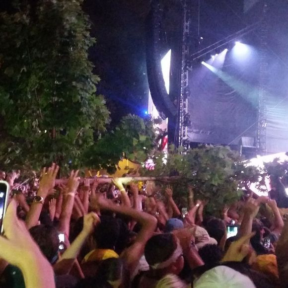 Stephy Olickal - Poshmark Profile Picture of Stephy Olickal (@103857) on Poshmark