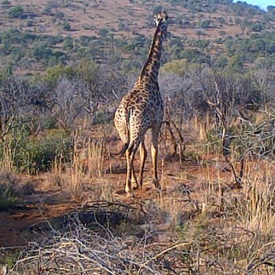 Francois Visser - Twitter Profile Picture of Francois Visser (@Francois_45965) on Twitter