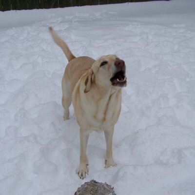 Profile Picture of James Taton (@jamestaton) on Twitter