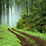 Profile Picture of Yuanchuan Zou (@zouyc) on Flickr