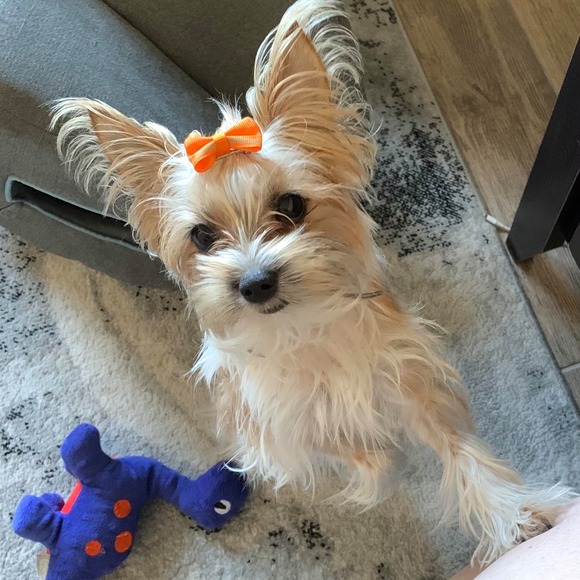 Profile Picture of Jeni Kopka (@jenikopka) on Poshmark