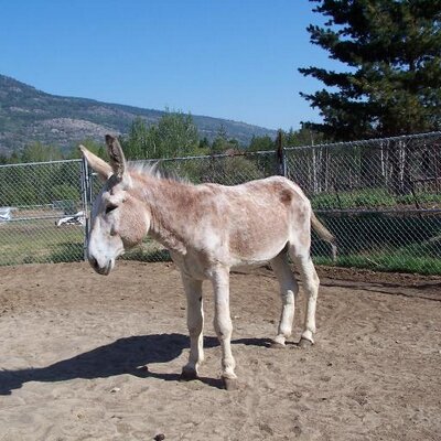 Profile Picture of Ron Barry (@Ronald55Barry) on Twitter