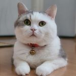 Profile Picture of Eva Kong (@evakong001) on Instagram