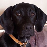 Profile Picture of Kim Swenson (@kim-swenson-7) on Quora
