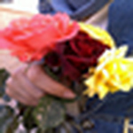 Profile Picture of Ahlam Alkurdi (@♥ moon light ♥) on Flickr
