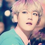 Profile Picture of 백현  (Fan100%😍😍) (@jaredvonkleist) on Instagram