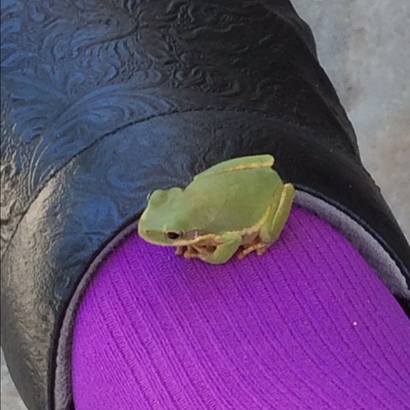 Danette Jacobs - Poshmark Profile Picture of Danette Jacobs (@dlanejacobs) on Poshmark