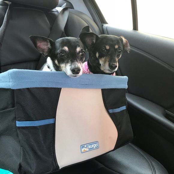 Gail Guerrina - Poshmark Profile Picture of Gail Guerrina (@bella92216) on Poshmark