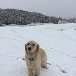 Profile Picture of Brian Pemberton (@brian.pemberton) on Instagram